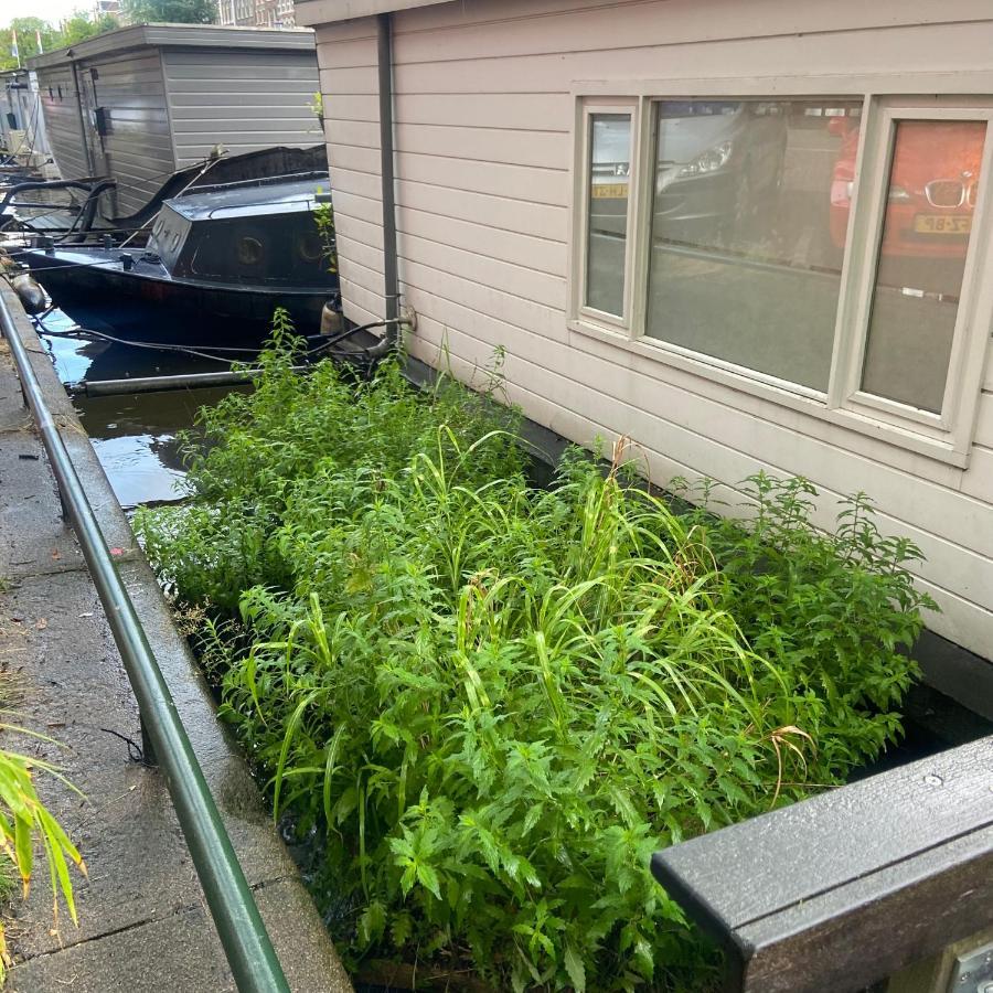 Houseboat Bonnie Bed & Breakfast Amsterdam Ngoại thất bức ảnh